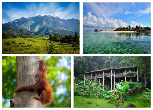 Best Things to do in Malaysia—Borneo