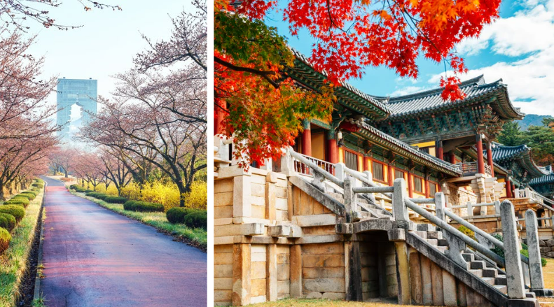 South Korea Must-Visit Cities—One Week Isn’t Enough-Gyeongju