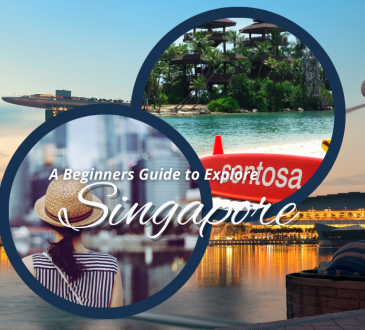 Why Singapore is a Must-Visit City—Beginners Guide