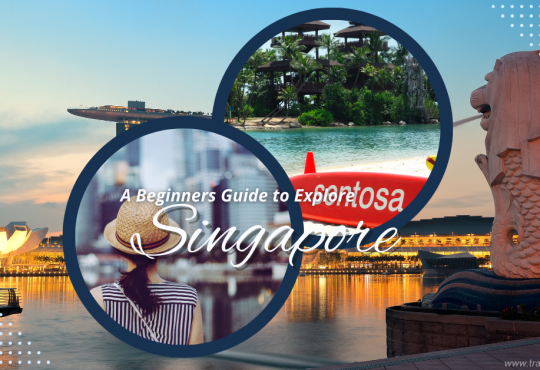 Why Singapore is a Must-Visit City—Beginners Guide